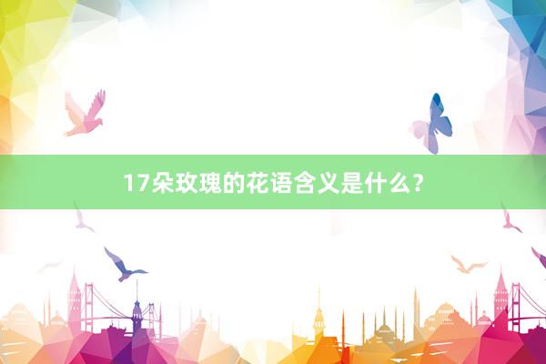17朵玫瑰的花语含义是什么？