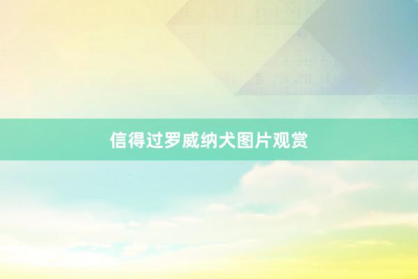 信得过罗威纳犬图片观赏